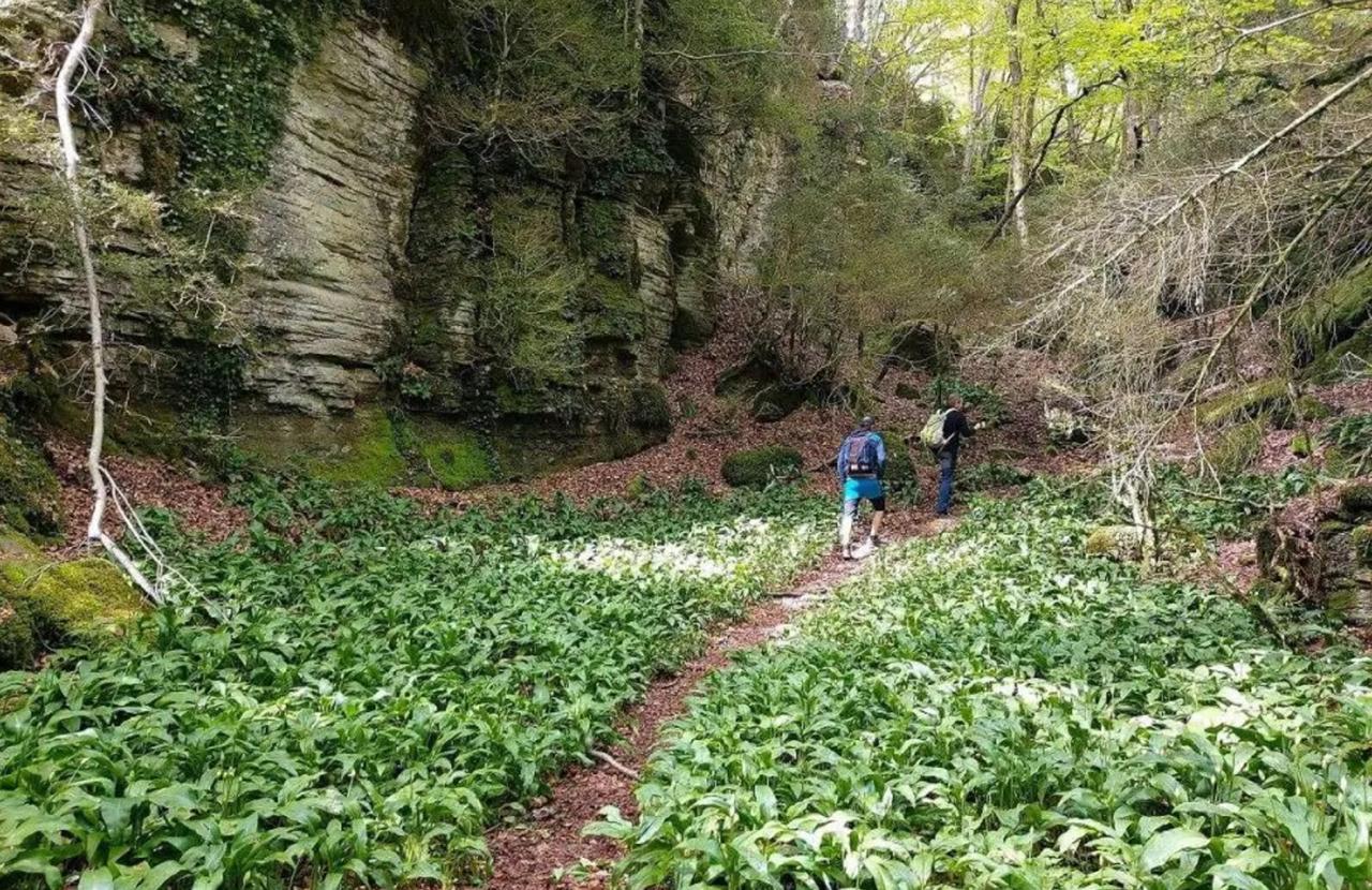 Nova excursió de Bastiments a les Escletxes de Freixeneda i al Salt de Sallent, el 16 de novembre