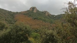 Descoberta del Xino-Xano a Sant Salvi de Cladells – Les Roques del Rei, el 10 de novembre